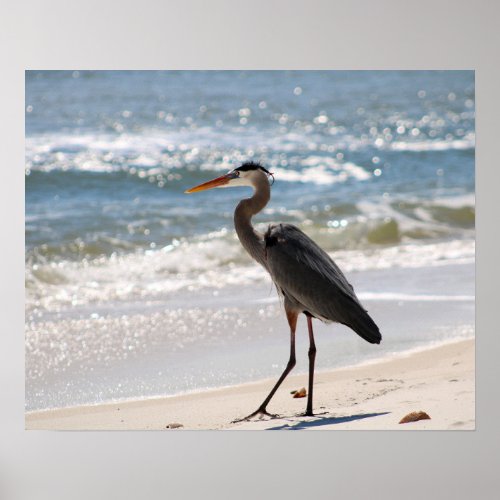 Heron on Beach Walking Towards Ocean Color 16x20 Poster