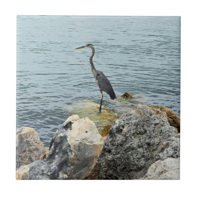 Heron On Rocks At The Beach Ceramic Tile (Front)