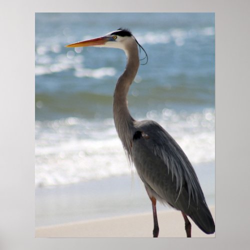 Heron on the Beach Profile Color 16x20  Poster