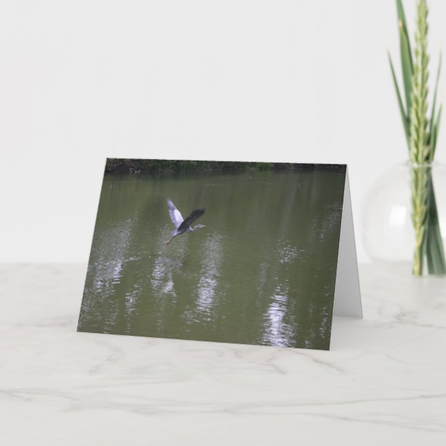 Heron Over Quiet Waters Greeting Card (Front)