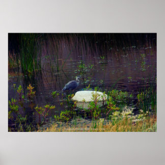 Heron P6987 Poster
