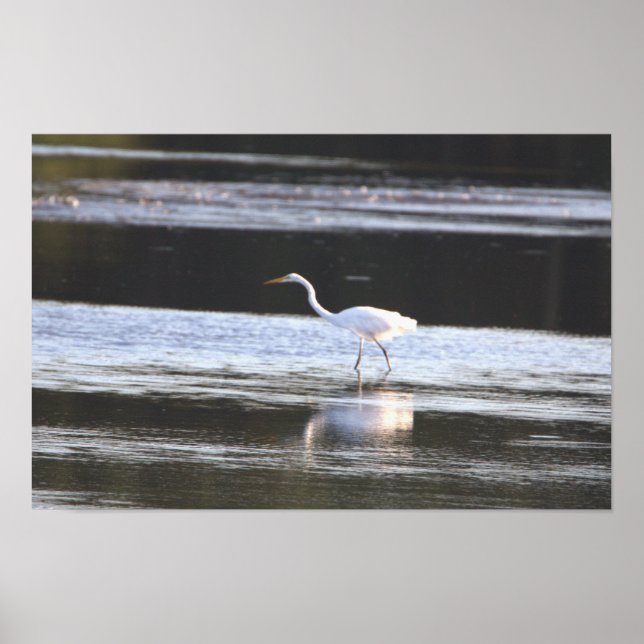 Heron Photo Poster (Front)