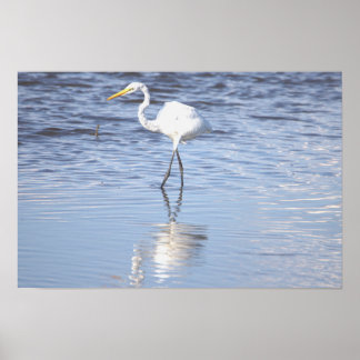 Heron Photo Poster