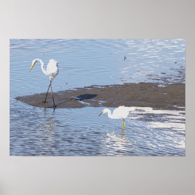 Heron Photo Poster (Front)