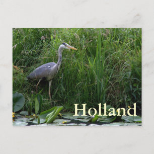 Heron Postcard