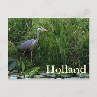 Heron Postcard