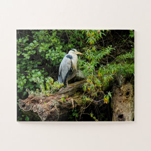 Heron. Roath Park Lake, Cardiff, Wales Jigsaw Puzzle