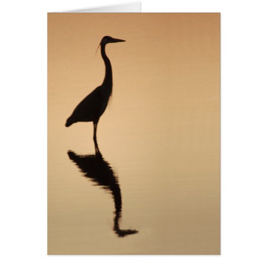 Heron Silouette Cards (Front)