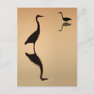 Heron Silouette Postcard