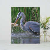 Heron Splash (Standing Front)