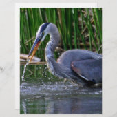 Heron Splash (Front/Back)