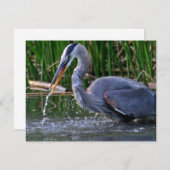 Heron Splash (Front/Back)