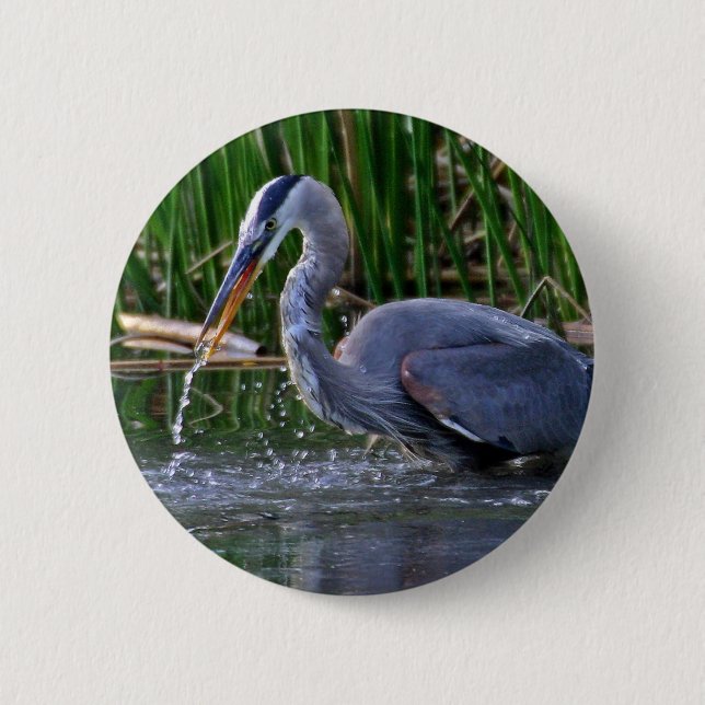 Heron Splash Pinback Button (Front)
