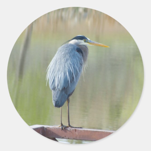 heron sticker (Front)