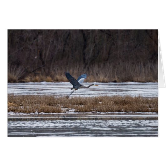 Heron Take Off (Front Horizontal)
