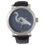 Heron Watch