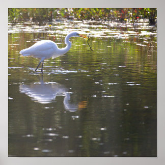 Heron Waterscape Poster