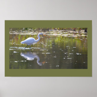 Heron Waterscape Poster