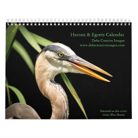 Herons And Egrets 2024 Calendar