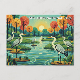 Herons in Keoladeo National Park India Travel Postcard