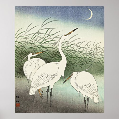 Herons in Shallow Water by Ohara Koson  Poster