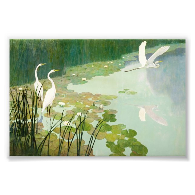 Herons in Summer by Newell Convers Wyeth Photo Print (Front)