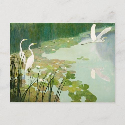Herons in Summer by Newell Convers Wyeth Postcard
