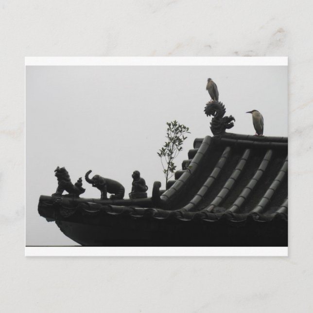 Herons on temple postcard (Front)