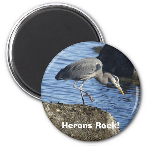 Herons Rock Magnets Buttons  Stickers Magnet