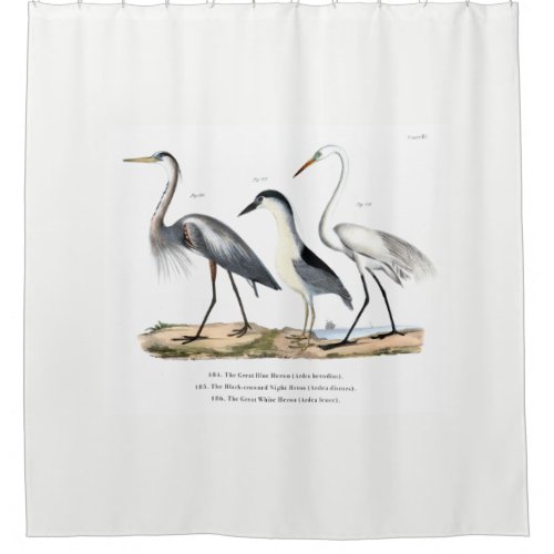 Herons Shower Curtain