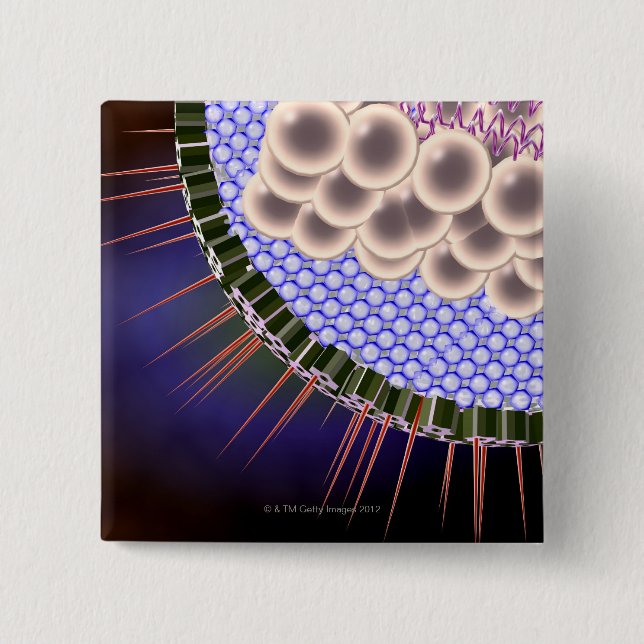 Herpes Virus Button (Front)