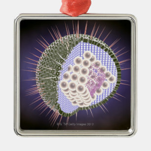 Herpes Virus Structure 2 Metal Ornament