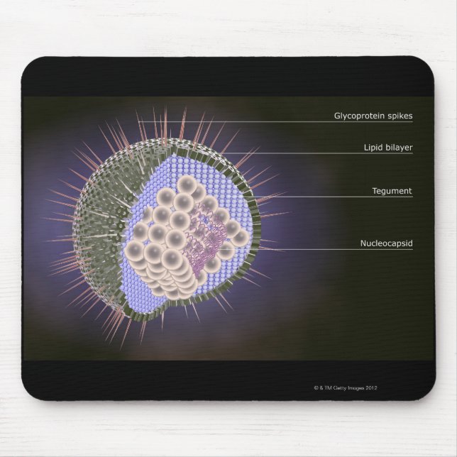 Herpes Virus Structure Mouse Pad (Front)