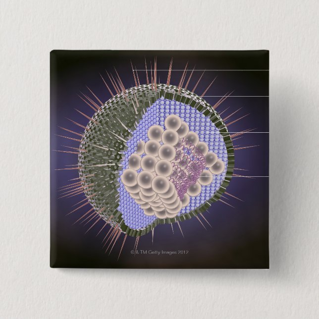 Herpes Virus Structure Pinback Button (Front)