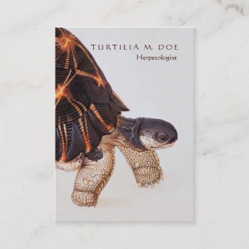 Herpetologist Two-sided Business Card by HistoryinBW at Zazzle