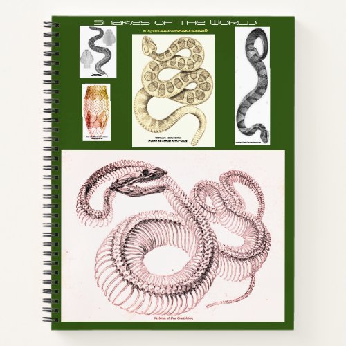 Herpetology Notebook