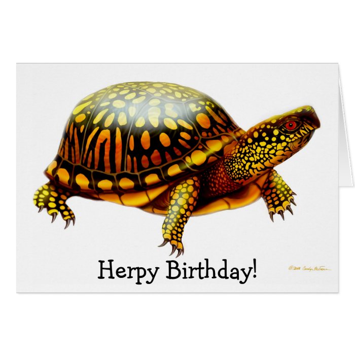 Herps Herpy Birthday Turtle Card