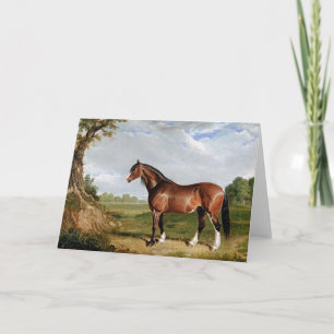 Herring - A Clydesdale Stallion, fine art, Card