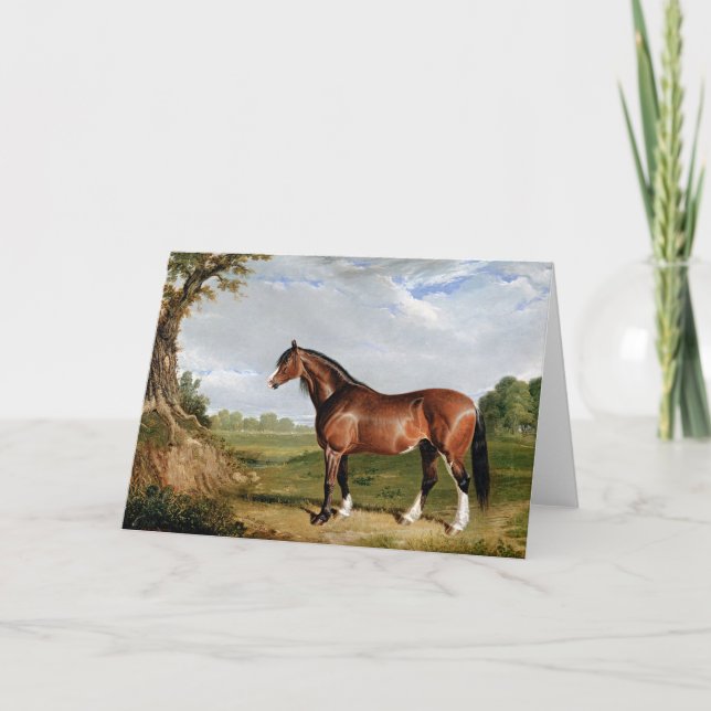 Herring - A Clydesdale Stallion, fine art, Card (Front)