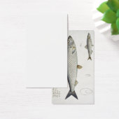 Herring (Clupea Harengus) (Fig. 1) and Sprat (Clup (Desk)