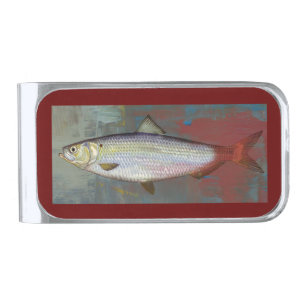 Herring Fish Silver Finish Money Clip