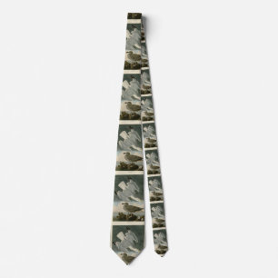 Herring Gull from John Audubon's Birds of America Neck Tie