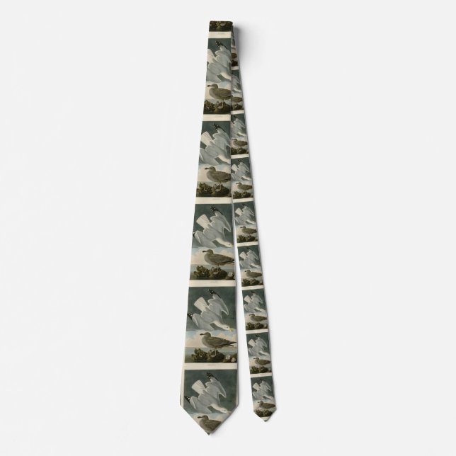Herring Gull from John Audubon's Birds of America Neck Tie (Front)
