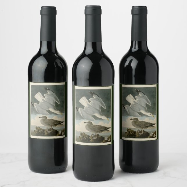 Herring Gull from John Audubon's Birds of America Wine Label (Bottles)