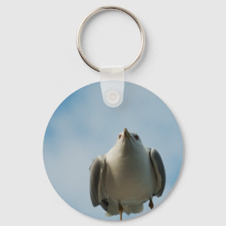 Herring Gull Keychain