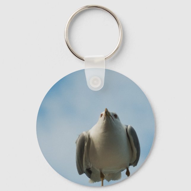 Herring Gull Keychain (Front)