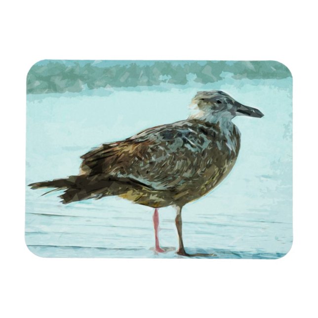 Herring Gull on the Beach Abstract Magnet (Horizontal)