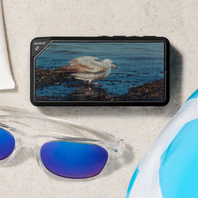 Herring Gull P1046 Bluetooth Speaker (Insitu(Beach))