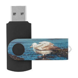 Herring Gull P1046 Flash Drive