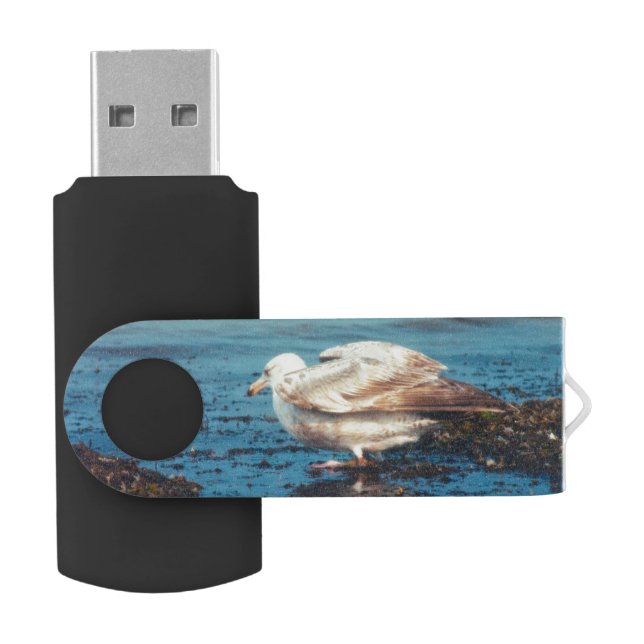 Herring Gull P1046 Flash Drive (Opened)